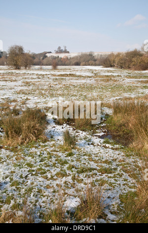 Chilbolton gemeinsame Kuh, Hampshire, England, im Schnee Stockfoto
