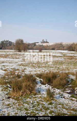 Chilbolton gemeinsame Kuh, Hampshire, England, im Schnee Stockfoto