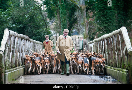 Der Jäger und seinen Hunden Stockfoto