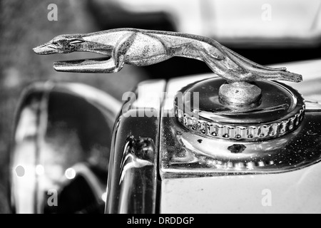 Das Emblem auf der Motorhaube eines Autos DeSoto sechs Cabrio Coupe (Chrysler), schwarz / weiß Stockfoto