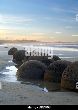 Blick nach Norden über den berühmten Moeraki Boulders (Kaihinaki), Moeraki Beach, Neuseeland. Stockfoto