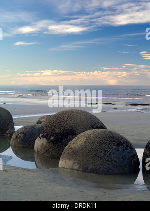 Blick nach Norden über den berühmten Moeraki Boulders (Kaihinaki), Moeraki Beach, Neuseeland. Stockfoto