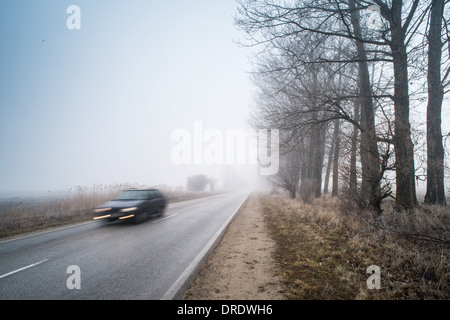 Auto auf einer Straße im Nebel. Morgen im Nebel Stockfoto