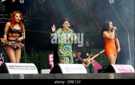 Stoosh Party im Park 2012 in Leeds, England Temple Newsam Park - 22.07.12 Stockfoto