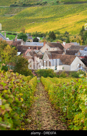 Frankreich, Cher, Sancerre, Chavignol Weiler, Häuser in das Dorf und die Weinberge im Herbst Stockfoto