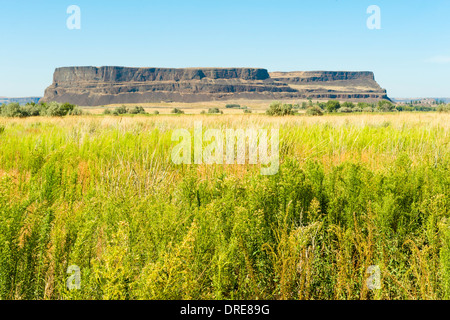 Steamboat Rock State Park, US-Bundesstaat Washington, USA Stockfoto