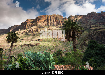 Das Dorf Arteara in den steilen Barranco de Fataga, durch eine dicke Abfolge von Trachyt und Sphäruliten Lavaströme Mauern Stockfoto