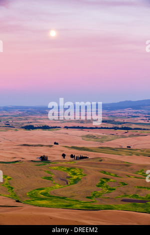 Sunset View der Palouse Hills von Whitman County, Washington State, USA, von der Oberseite des Steptoe Butte State Park gesehen. Stockfoto