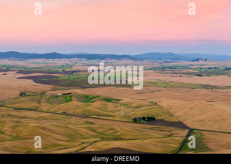 Sunset View der Palouse Hills von Whitman County, Washington State, USA, von der Oberseite des Steptoe Butte State Park gesehen. Stockfoto