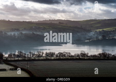 Fluß Teign, Abt, Bishopsteignton, blau, Devon, niedrige, moor, Newton, Schilf, reflektieren, Reflexion, Fluss, Teign, Gezeiten, Stadt, Seilbahn Stockfoto