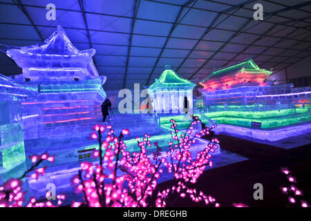 Peking, China. 23. Januar 2014. Besucher sehen Sie Eis Laternen während das Eis Laternenfest im Olympischen Park in Peking, Hauptstadt von China, 23. Januar 2014. Bildnachweis: Wang Jingsheng/Xinhua/Alamy Live-Nachrichten Stockfoto