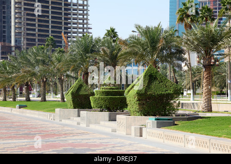 Beschnittene Hecke und Dattelpalme Bäume an der Corniche in Doha, Katar Stockfoto