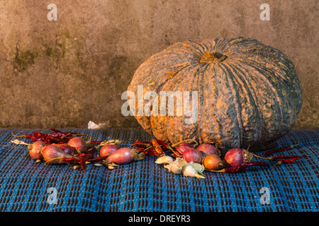 Stillleben - Kürbis, getrocknete Chili, Schalotten und Knoblauch Stockfoto