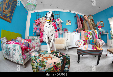 Ein Dalmatiner (Canis Lupus Familiaris) in einem Deko-Shop.  Chien Dalmatien Dans un Magasin de Dekoration. Stockfoto