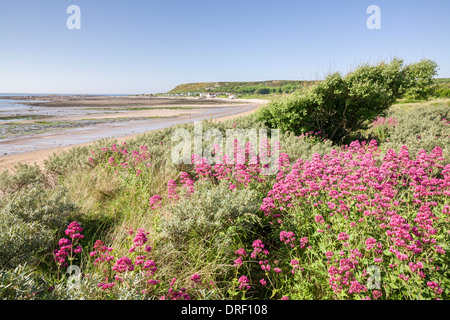 Strand Port Eynon Gower Halbinsel Wales UK Stockfoto