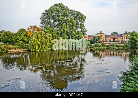 Trauerweide - wächst Salix Babylonica das Flussbett in Shrewsburry, England, UK. Stockfoto