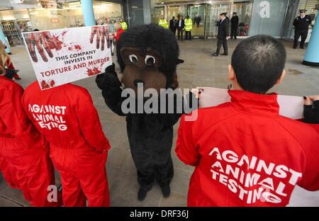 London, England, Vereinigtes Königreich. 24. Januar 2014. Die Anti-Vivisection Koalition protestierten vor der Medizin und die Produkte regelmäßig Agentur Sie darum zu bitten, zu stoppen alle Affen Experimente und lassen Sie alle Primaten haben sie in ihren Laboren. Die Gruppe behauptet, die Tiere sind mit starken Chemikalien injiziert und in grausame Experimente Credit: Gail Orenstein/ZUMAPRESS.com/Alamy Live News Stockfoto