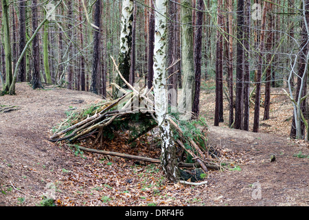 Baumschutz aus Ästen, braunen Blättern und Stäben in den Wäldern von Esher Common, Elmbridge, Surrey vom Menschen erstellter Überlebensschutz im Wald Stockfoto