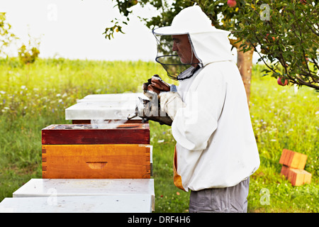 Imker In Kroatien, Europa Stockfoto