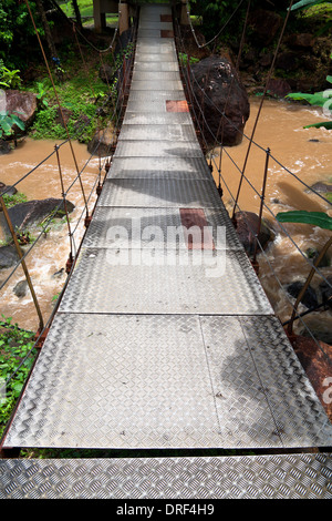 Hängebrücke in tropischen Wald. Langkawi, Malaysia. Stockfoto