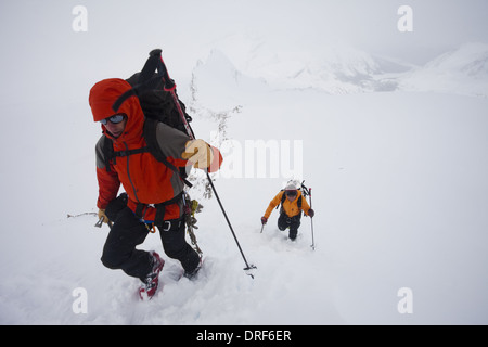 Alberta, Kanada. Zwei Skifahrer steigen Hang am bewölkten verschneiten Tag Kanada Stockfoto