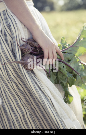 Maryland USA Mädchen in Rock Rüben frisch Vegetablesfield Kulturen Stockfoto