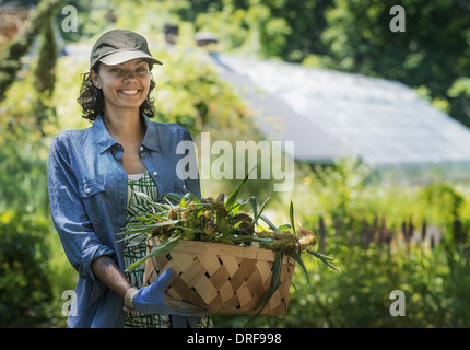 New York Staat USA junge Frau mit großen Kasten frisches Gemüse Stockfoto