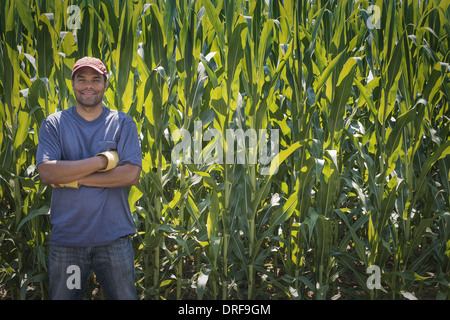 New York State USA junger Mann stehend hoch Mais Ernte in Feld Stockfoto