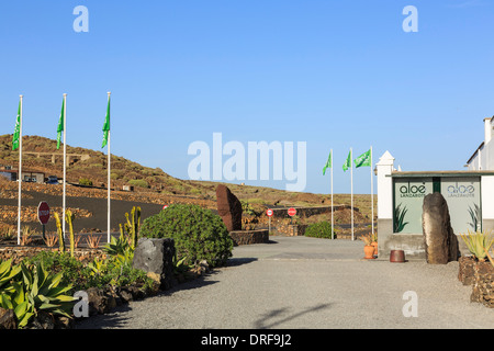 Aloe Vera Fabrik produziert und vertreibt Aloe Kosmetikprodukte in der Nähe von Punta de Mujeres, Lanzarote, Kanarische Inseln, Spanien, Europa. Stockfoto