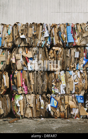 Washington State USA Recycling Anlage bündelt Pappe sortiert Stockfoto