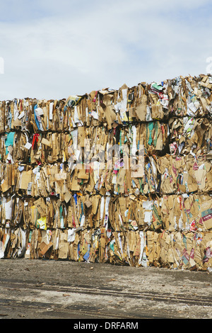 Washington State USA Recycling Anlage bündelt Pappe sortiert Stockfoto