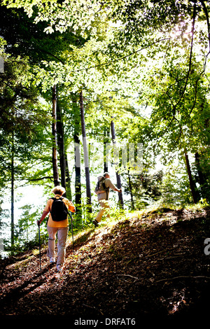 Älteres paar Nordic Walking durch Wald, Osterseen, Deutschland Stockfoto