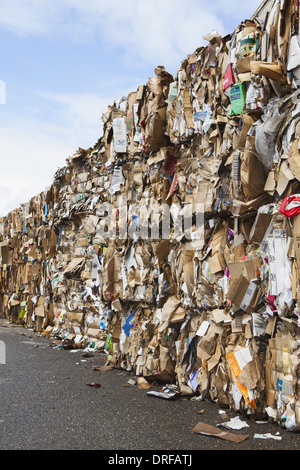 Washington State USA Recycling Anlage bündelt Pappe sortiert Stockfoto