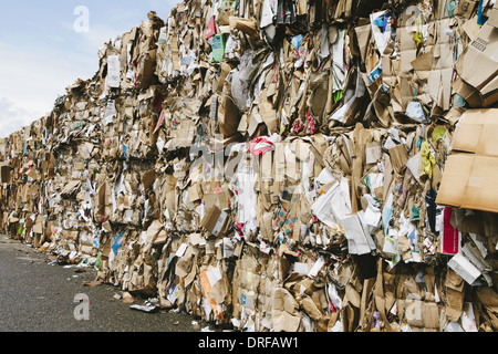 Washington State USA Recycling Anlage bündelt Pappe sortiert Stockfoto