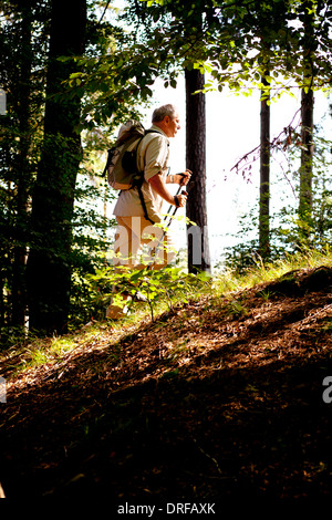 Senior woman Nordic Walking durch Wald, Osterseen, Deutschland Stockfoto