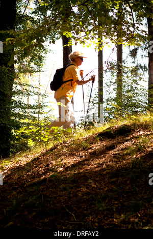 Ältere Frau Nordic Walking durch Wald, Osterseen, Deutschland Stockfoto