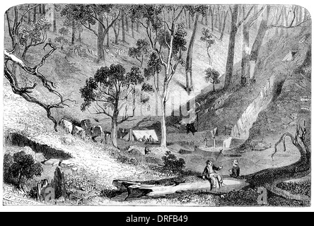 Australien. Whirley Schlucht, die Stelle, wo das Gold entdeckt wurde; Creek Waldrevieren, Mount Alexander. 1851 Stockfoto