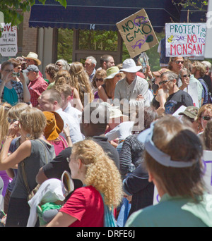 Asheville, North Carolina, USA - 25. Mai 2013: Menschen halten Schilder Protest gentechnisch veränderten Lebens- und Monsanto Stockfoto