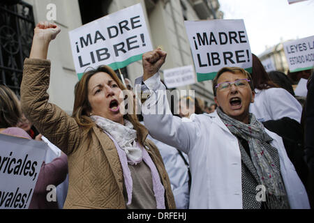 Madrid, Spanien. 23. Januar 2014. Demonstranten schreien Reivindicative Parolen bei einem Protest gegen das Abtreibungsgesetz in Madrid, Spanien Donnerstag, 23. Januar 2014 hundert Menschen versammelten sich am Donnerstag Nachmittag vor der französischen Botschaft in Madrid an den Schrei der '' legale Abtreibung sterben zu vermeiden '' zu bitten um Asyl aus Protest gegen das neue Abtreibungsgesetz in Spanien befördert der spanische Minister von Gerechtigkeit , Alberto Ruiz-GallardÃƒÂ³n. Bildnachweis: Rodrigo Garcia/NurPhoto/ZUMAPRESS.com/Alamy Live-Nachrichten Stockfoto