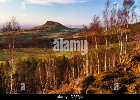 BLICK VON DER PLANTAGE Stockfoto