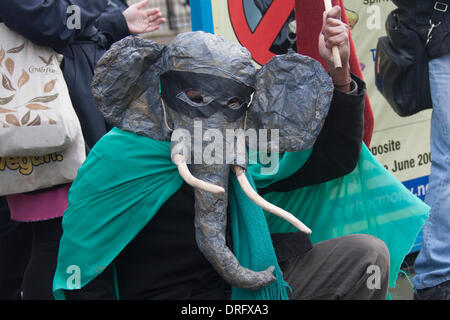 London, UK. 25. Januar 2014. Dutzende der Tierschützer demonstrieren vor der chinesischen Botschaft in London gegen des Landes die Nachfrage nach Elfenbein, die Elefanten gefährdet ist. Bildnachweis: Paul Davey/Alamy Live-Nachrichten Stockfoto