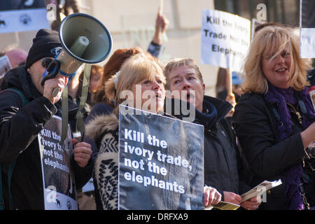 London, UK. 25. Januar 2014. Dutzende der Tierschützer demonstrieren vor der chinesischen Botschaft in London gegen des Landes die Nachfrage nach Elfenbein, die Elefanten gefährdet ist. Bildnachweis: Paul Davey/Alamy Live-Nachrichten Stockfoto