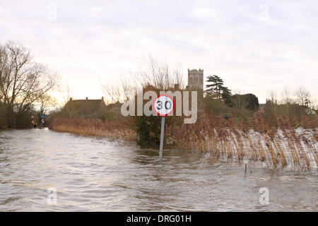 Muchelney, Somerset, UK. Hochwasser Januar 2014.  Muchelney das abgeschiedene Dorf auf der überfluteten Somerset Ebene südlich von Langport. Das Dorf weiterhin abgeschnitten werden Stockfoto