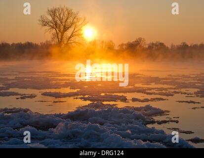 Lebus, Deutschland. 25. Januar 2014. Das Wasser des deutsch-polnischen Fluss Grenzoder dampft zwischen schwimmenden Eisschollen bei Sonnenaufgang in Lebus, Deutschland, 25. Januar 2014. Letzte Nacht Temperaturen auf minus 15,5 Grad Celsius in Brandenburg. Foto: Patrick Pleul/Dpa/Alamy Live News Stockfoto