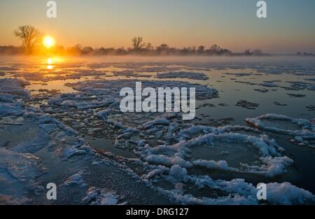 Lebus, Deutschland. 25. Januar 2014. Eisschollen schwimmen auf deutsch-polnischen Grenzfluss Oder bei Sonnenaufgang in Lebus, Deutschland, 25. Januar 2014. Letzte Nacht Temperaturen auf minus 15,5 Grad Celsius in Brandenburg. Foto: Patrick Pleul/Dpa/Alamy Live News Stockfoto