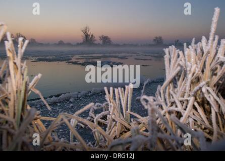 Lebus, Deutschland. 25. Januar 2014. Eisschollen schwimmen auf deutsch-polnischen Grenzfluss Oder bei Sonnenaufgang in Lebus, Deutschland, 25. Januar 2014. Letzte Nacht Temperaturen auf minus 15,5 Grad Celsius in Brandenburg. Foto: Patrick Pleul/Dpa/Alamy Live News Stockfoto