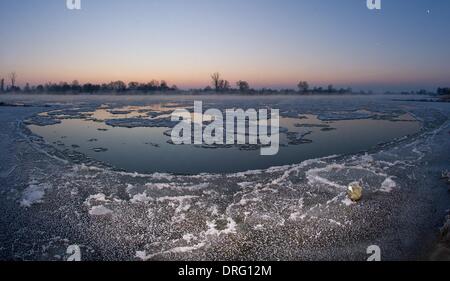 Lebus, Deutschland. 25. Januar 2014. Eisschollen schwimmen auf deutsch-polnischen Grenzfluss Oder bei Sonnenaufgang in Lebus, Deutschland, 25. Januar 2014. Letzte Nacht Temperaturen auf minus 15,5 Grad Celsius in Brandenburg. Foto: Patrick Pleul/Dpa/Alamy Live News Stockfoto