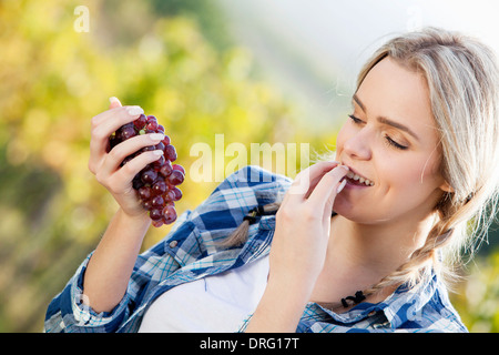 Weinlese, junge Frau essen Trauben, Slawonien, Kroatien Stockfoto