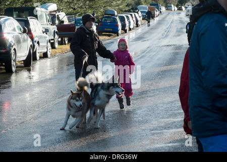 Aviemore, Schottland. 25. Januar 2014. Einige Zuschauer, die es geschafft zu genießen, einer der seltenen sonnigen Zauber des Tages am 31. Jahrestag Aviemore Sled Dog Rally 2014 Credit: Thomas Bisset/Alamy Live News Stockfoto