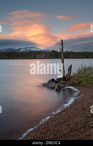 Der Morgendämmerung bricht über Loch Morlich mitten im Winter. Stockfoto